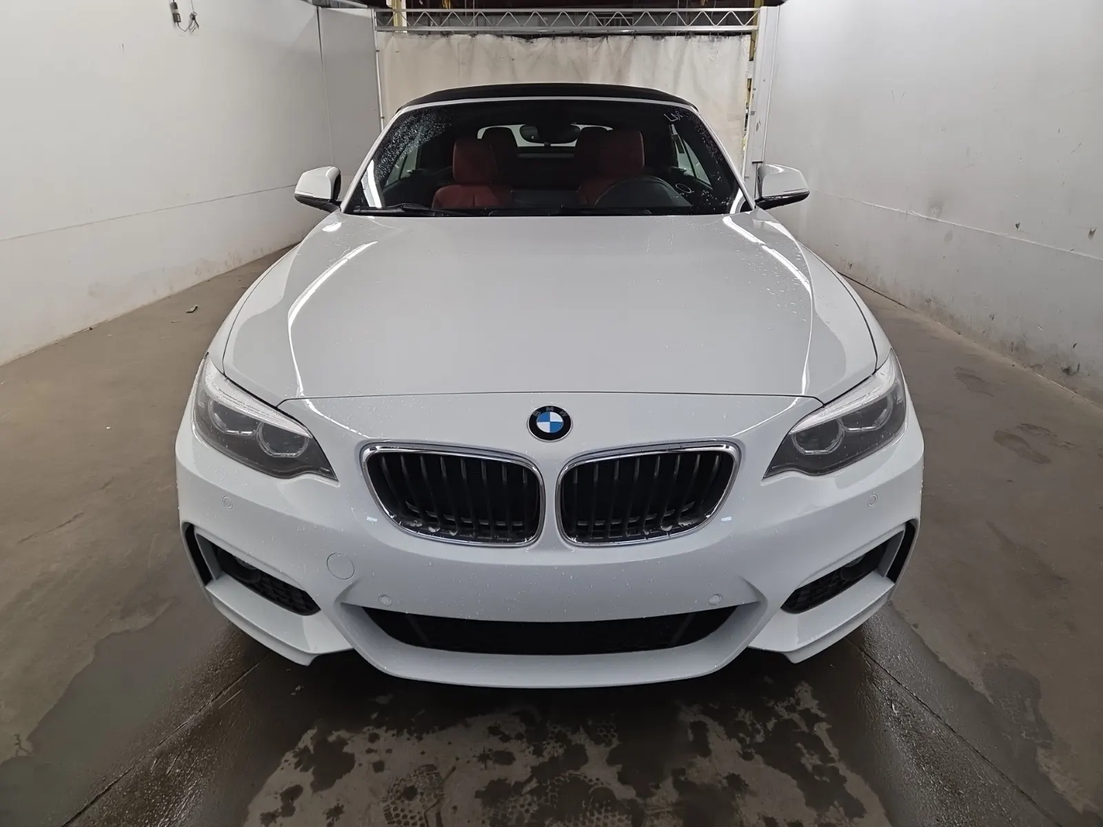 Full Front Photo