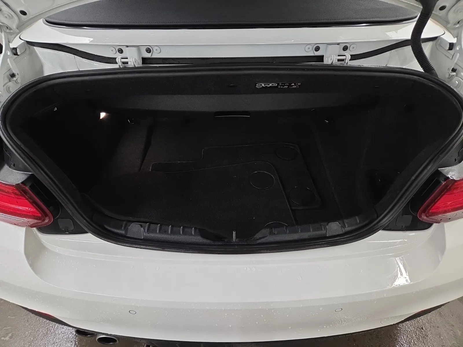 Cargo Area Photo