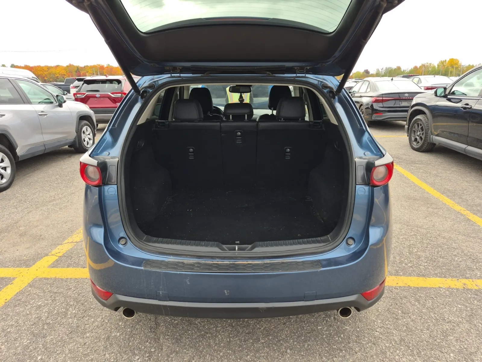 Cargo Area Photo