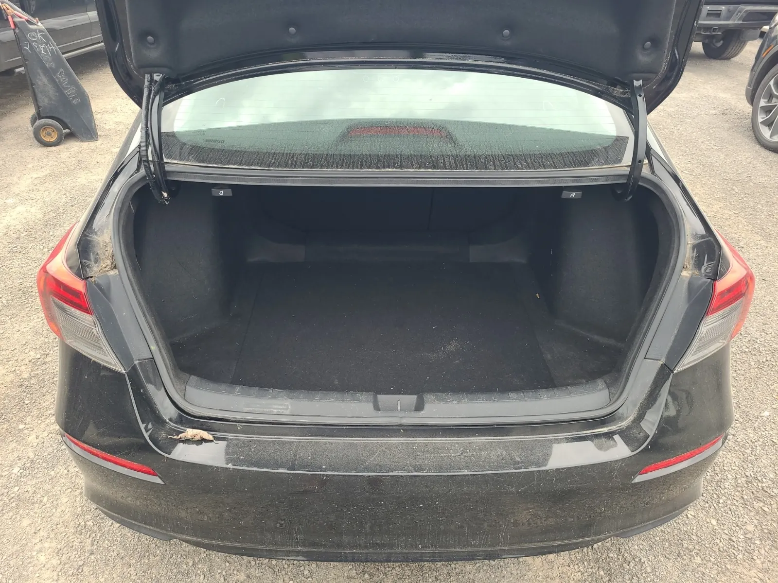 Cargo Area Photo