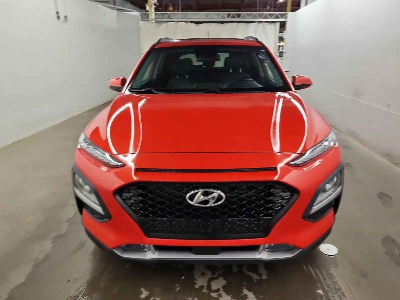 Full Front Photo