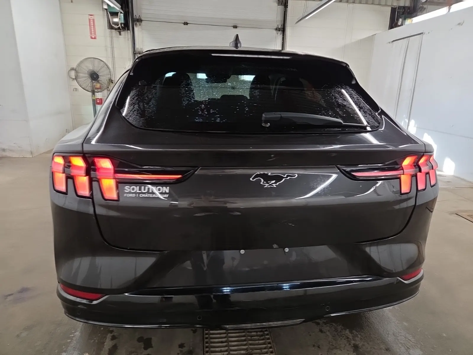 Full Rear Photo