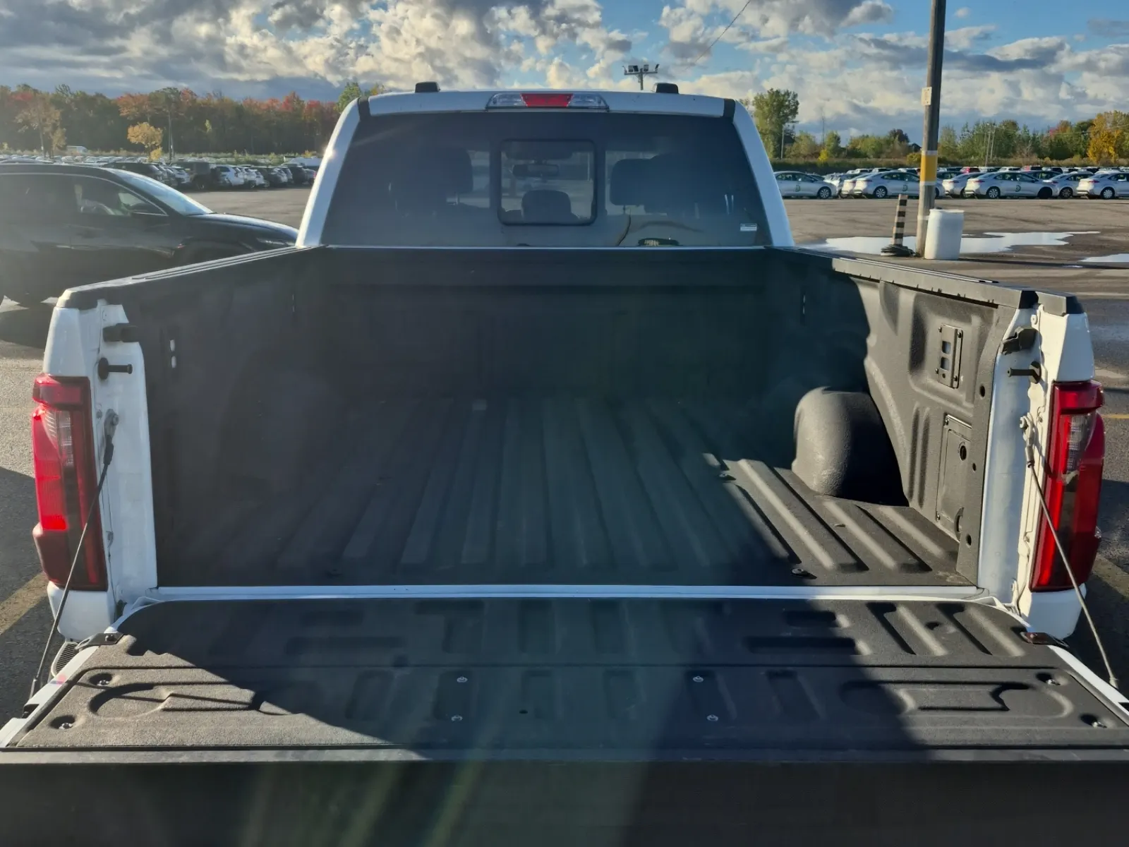 Cargo Area Photo