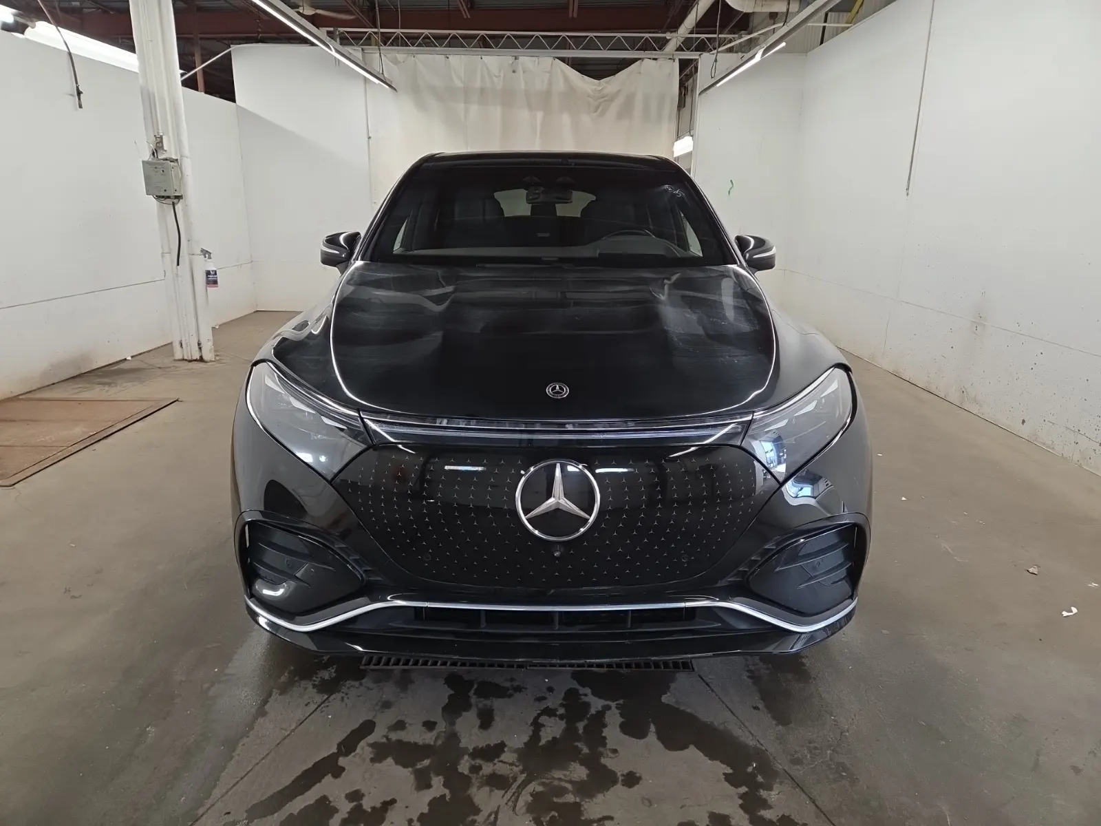Full Front Photo