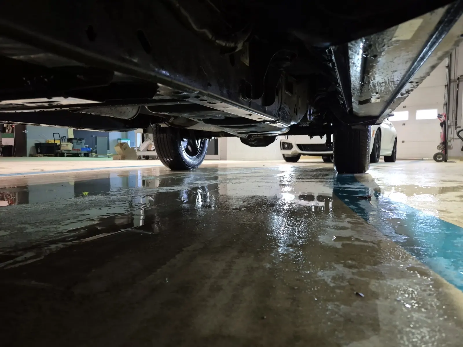 Undercarriage - Driver Photo