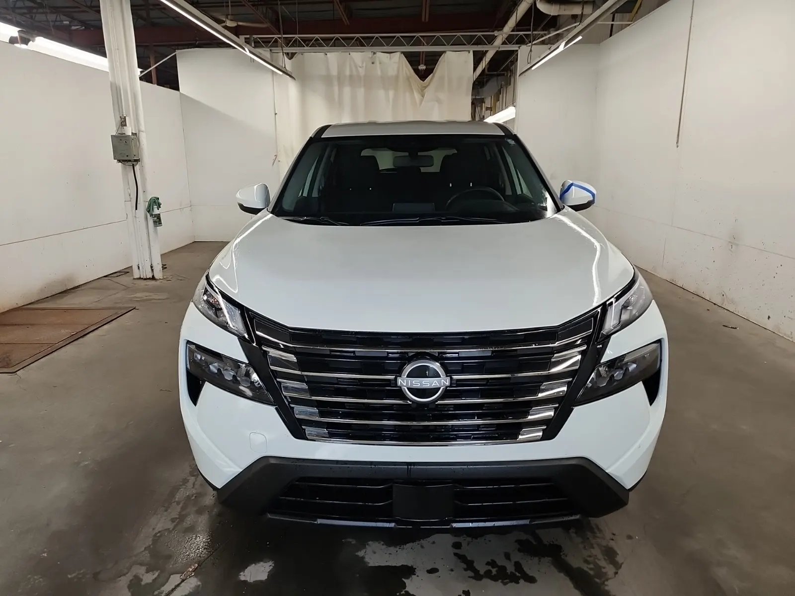 Full Front Photo
