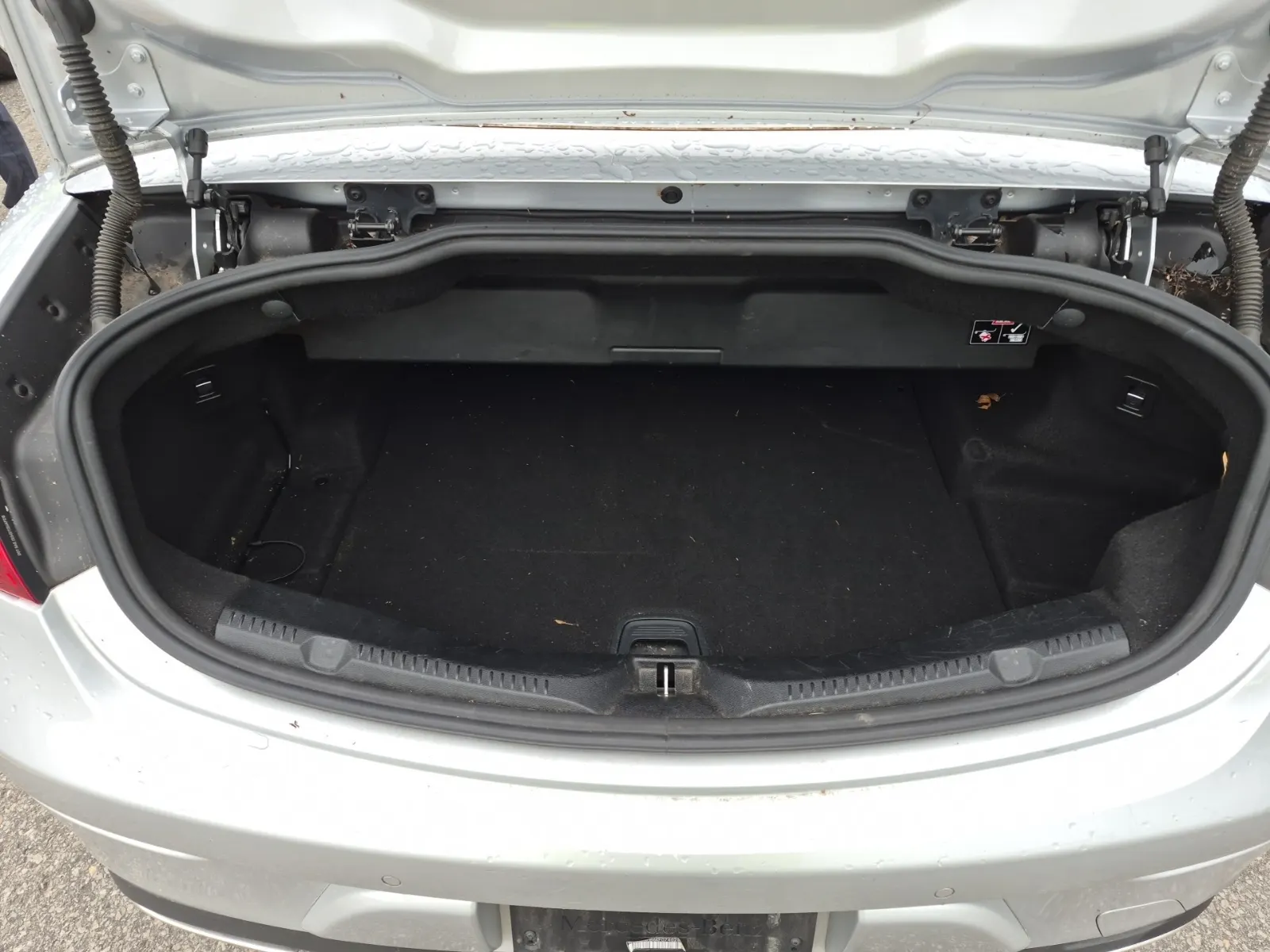Cargo Area Photo