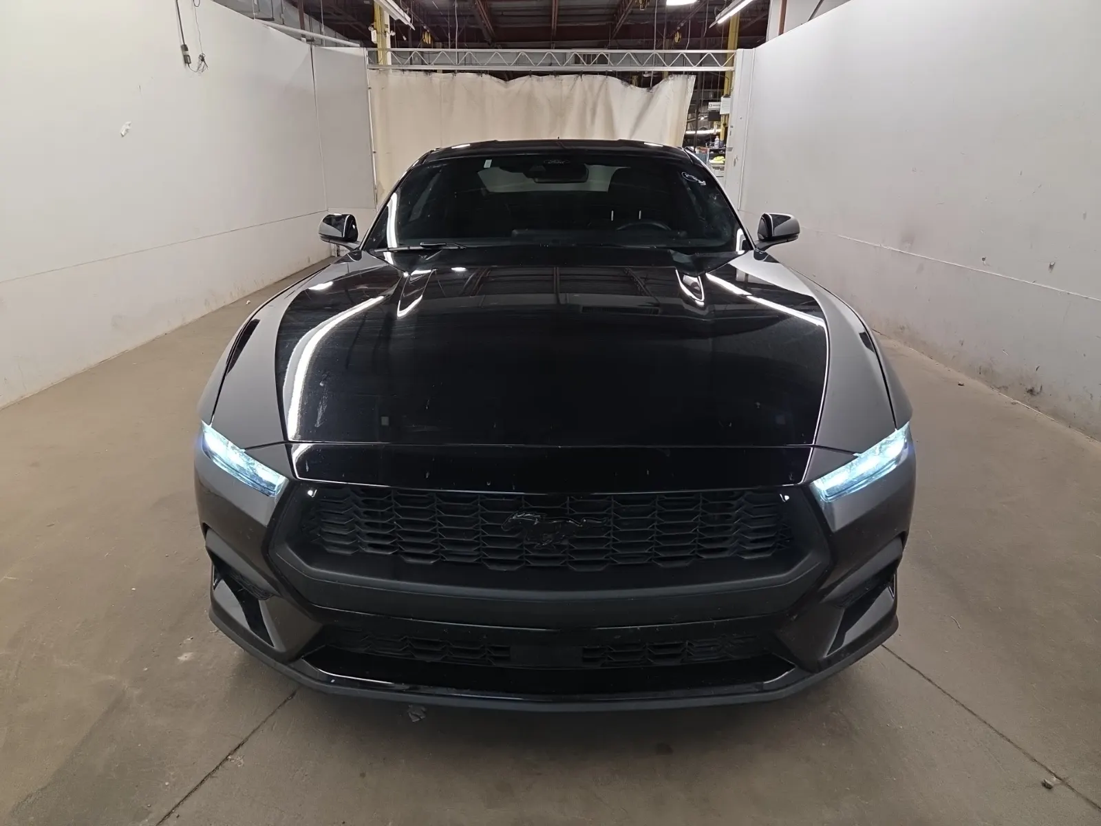Full Front Photo