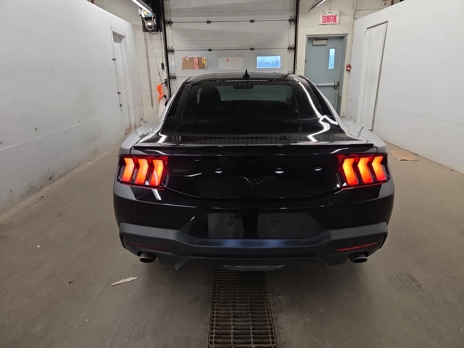 Full Rear Photo