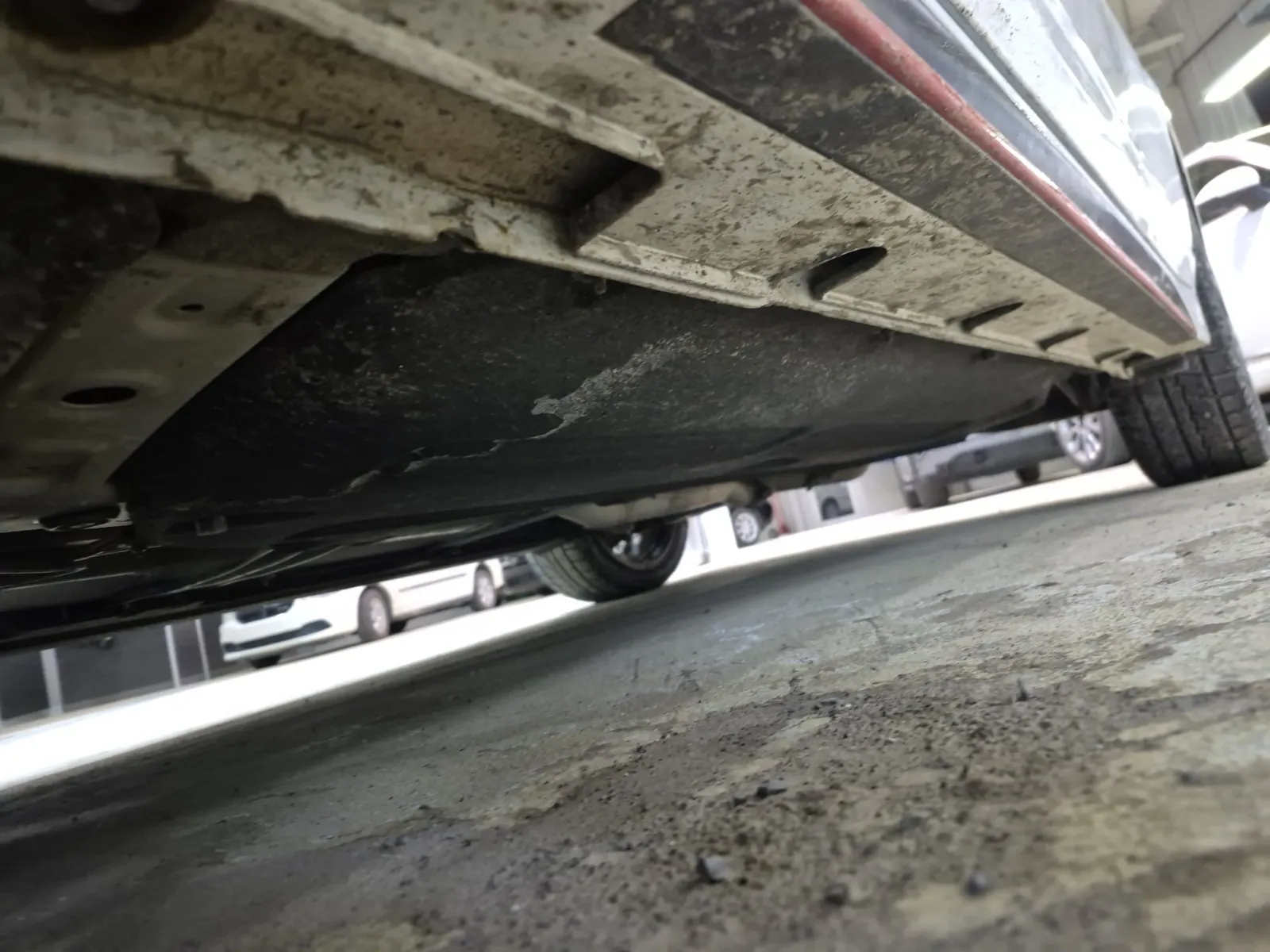 Undercarriage - Driver Photo
