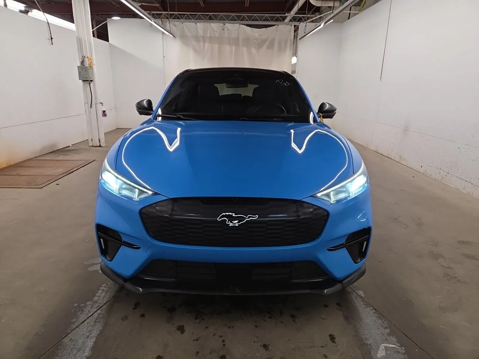 Full Front Photo