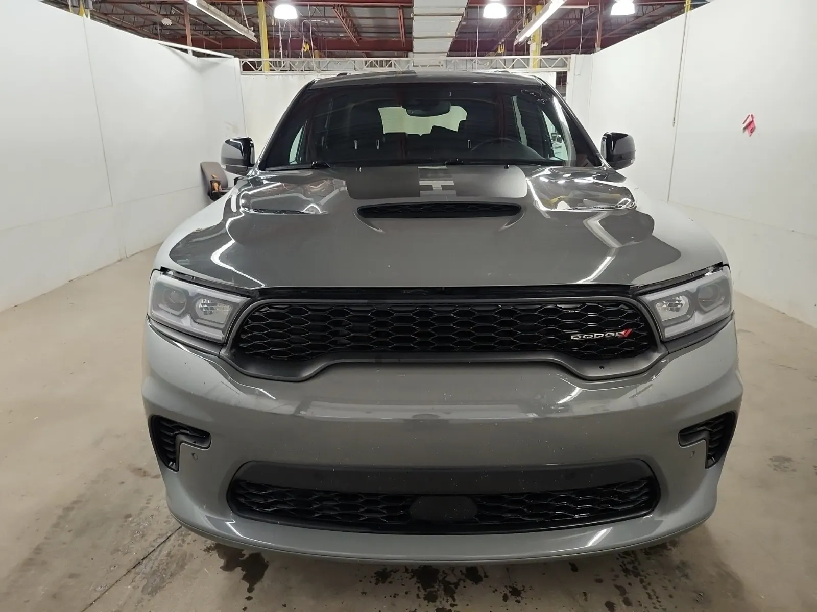 Full Front Photo