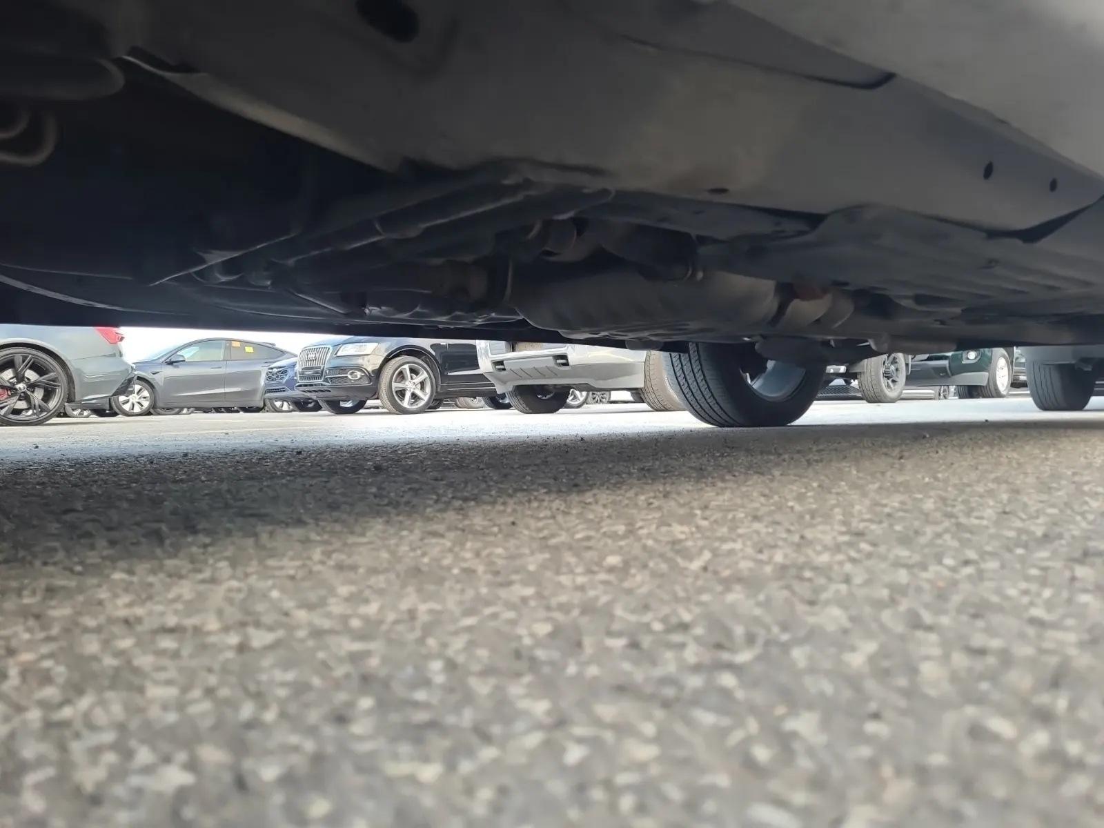 Undercarriage - Driver Photo