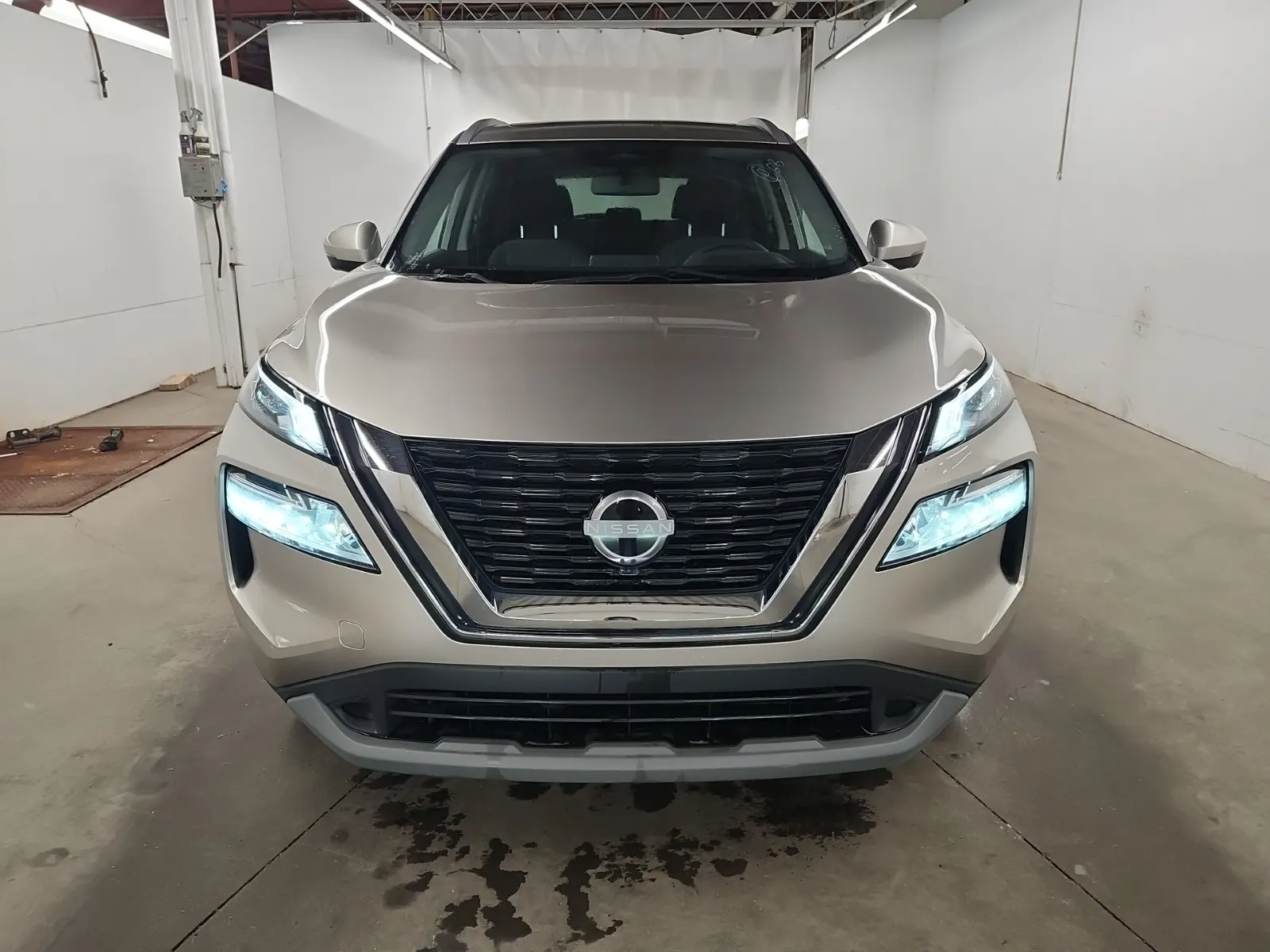 Full Front Photo