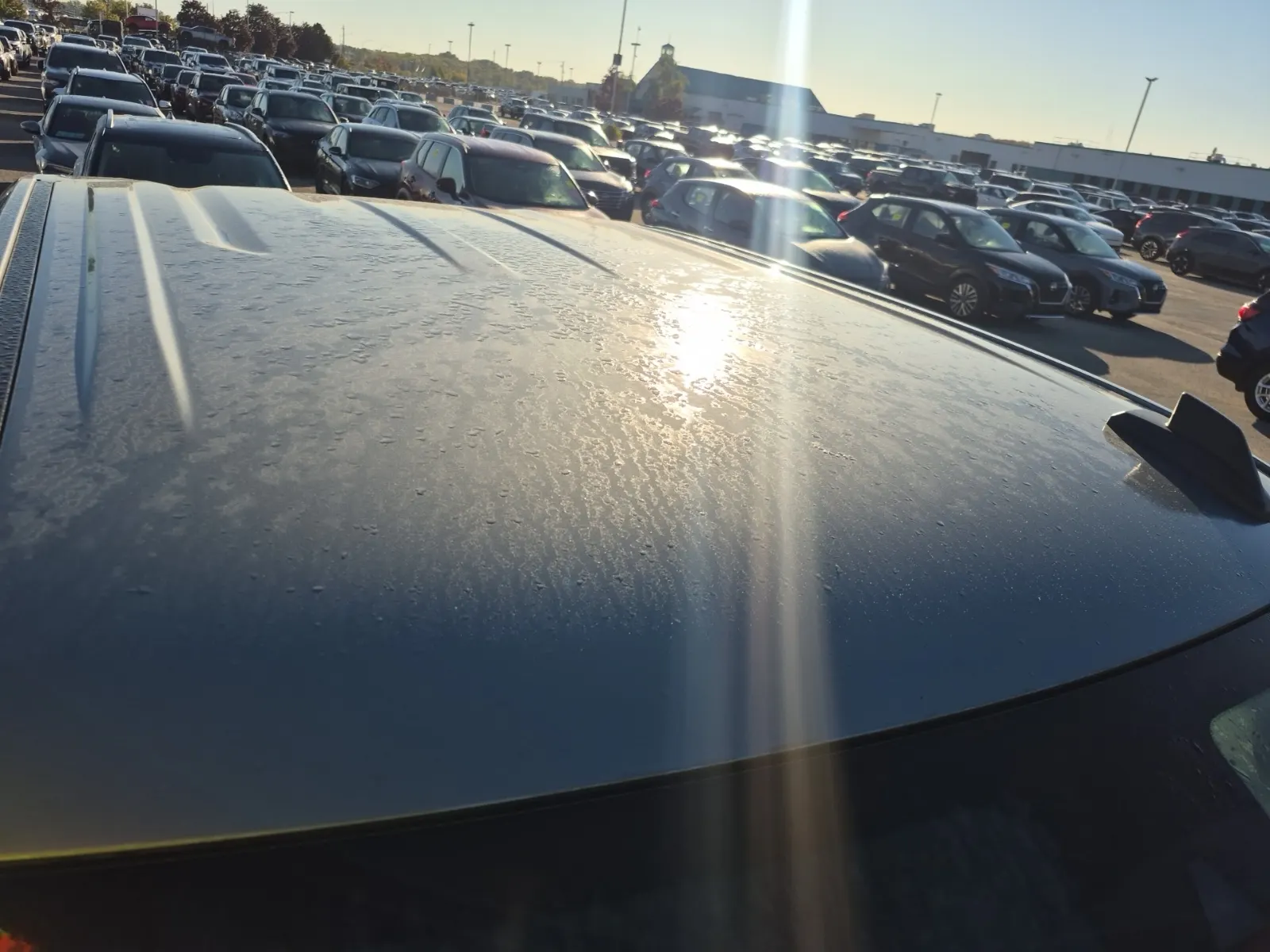 Exterior Roof Photo