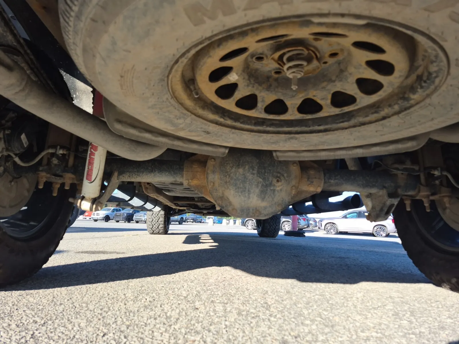 Undercarriage - Rear Photo