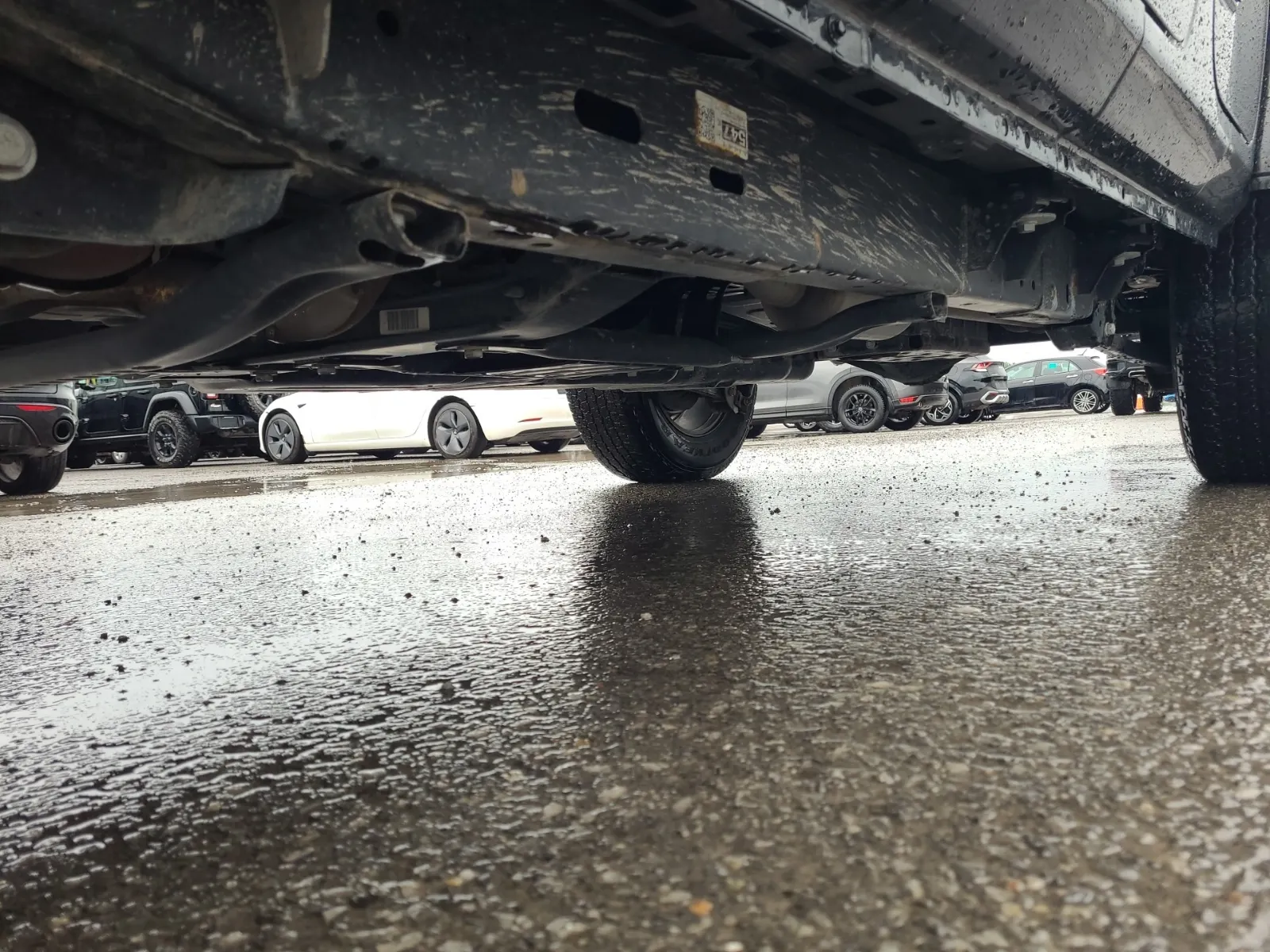 Undercarriage - Driver Photo