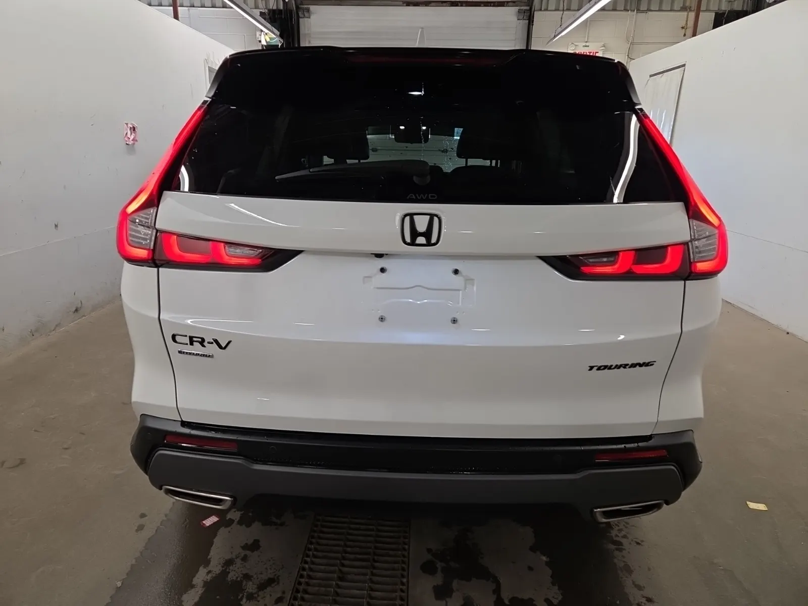 Full Rear Photo