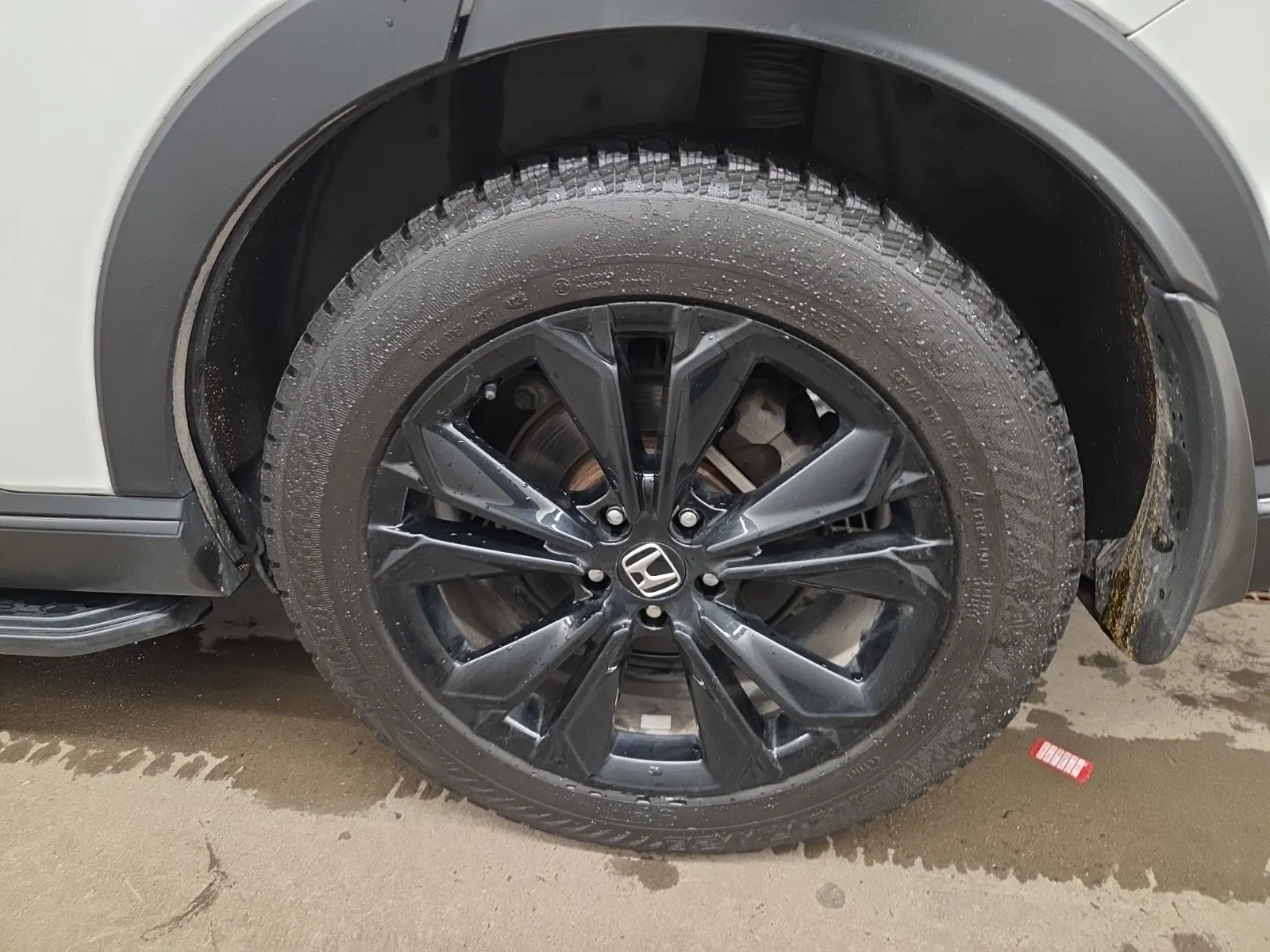 Left Rear Wheel/Tire Photo