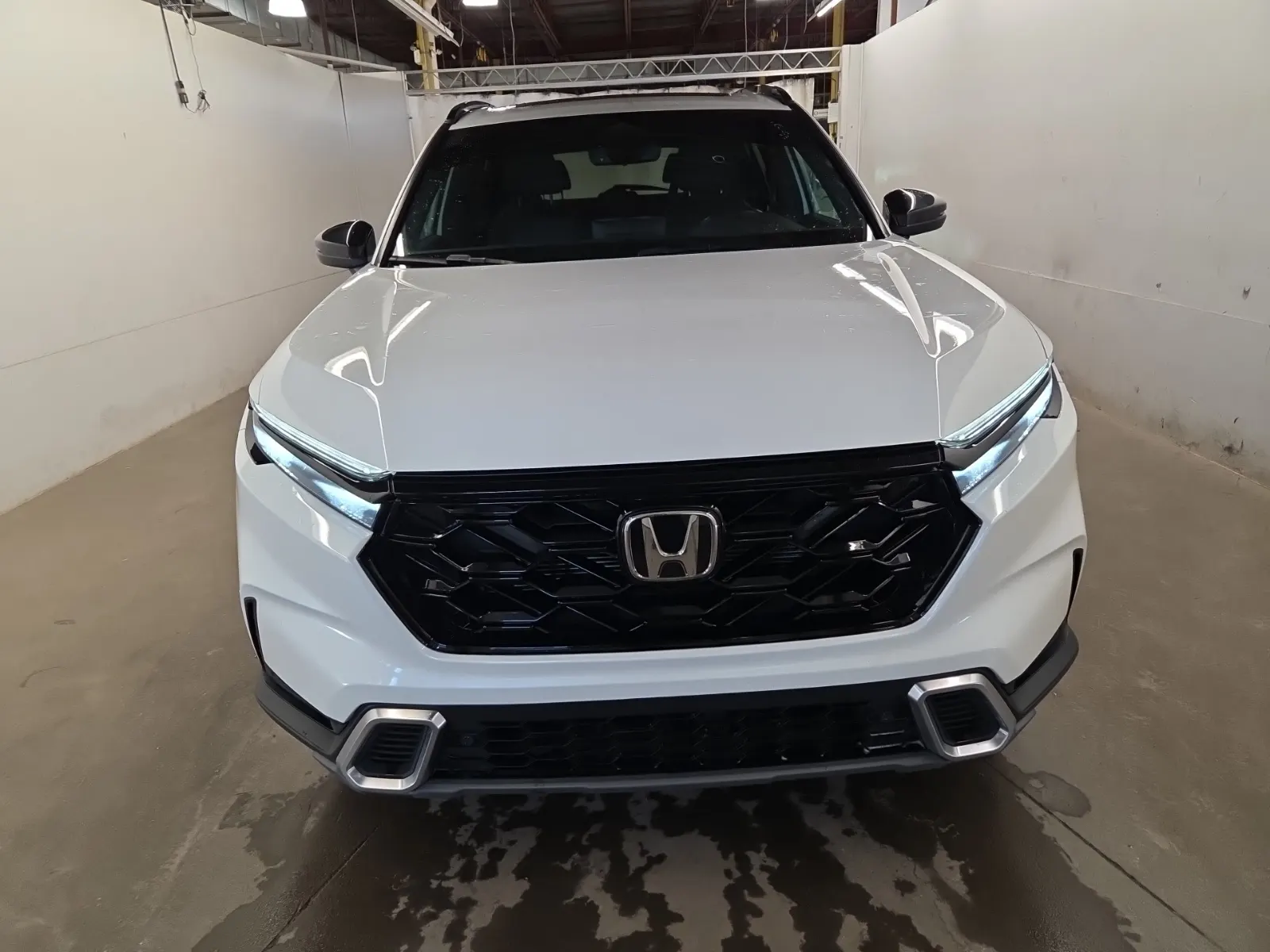 Full Front Photo