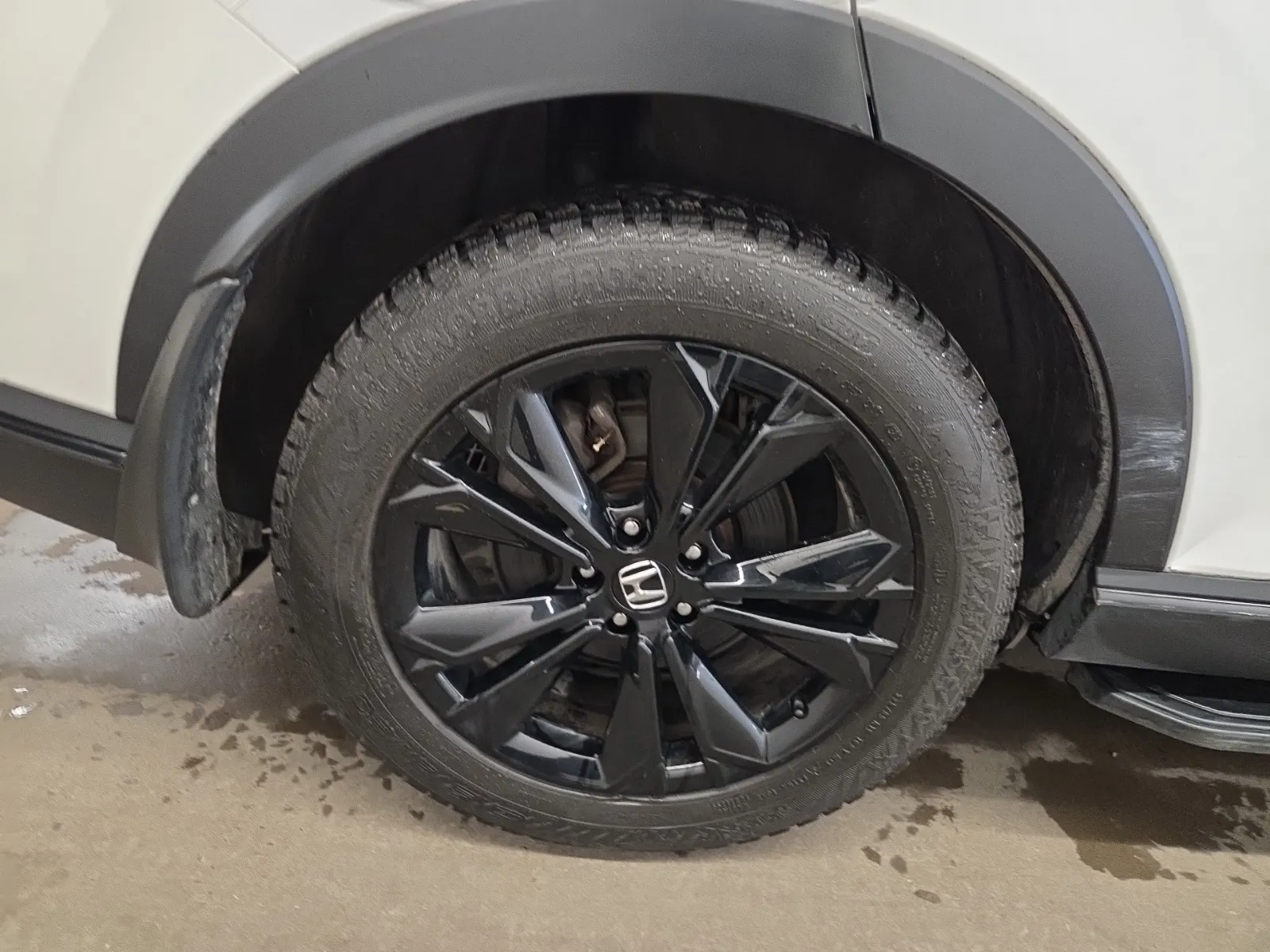 Right Rear Wheel/Tire Photo