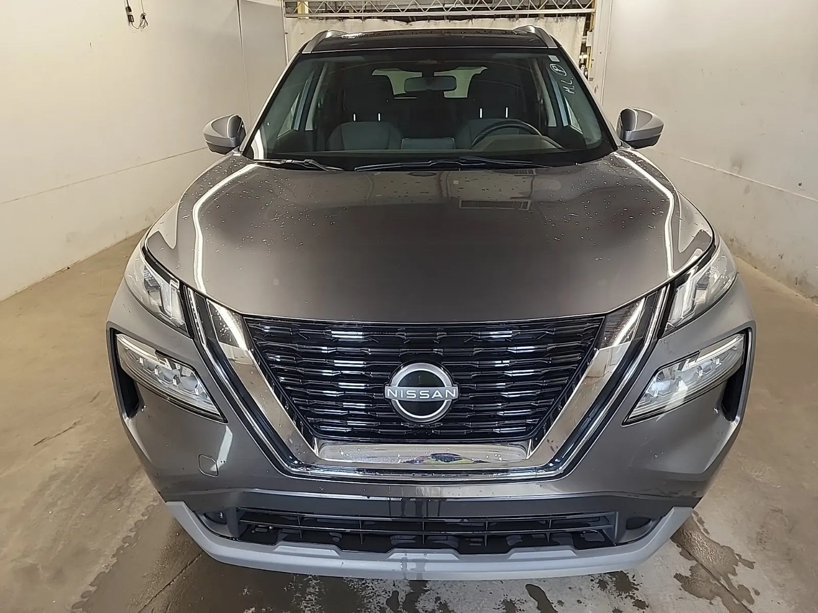 Full Front Photo