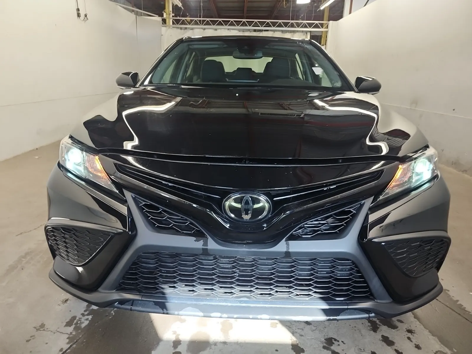 Full Front Photo