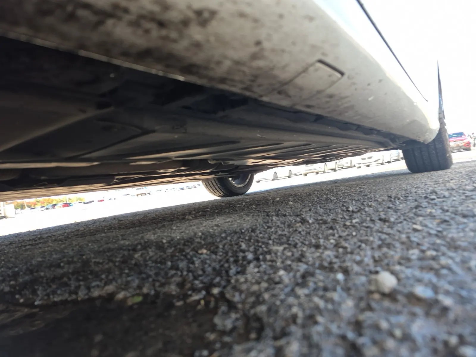 Undercarriage - Driver Photo