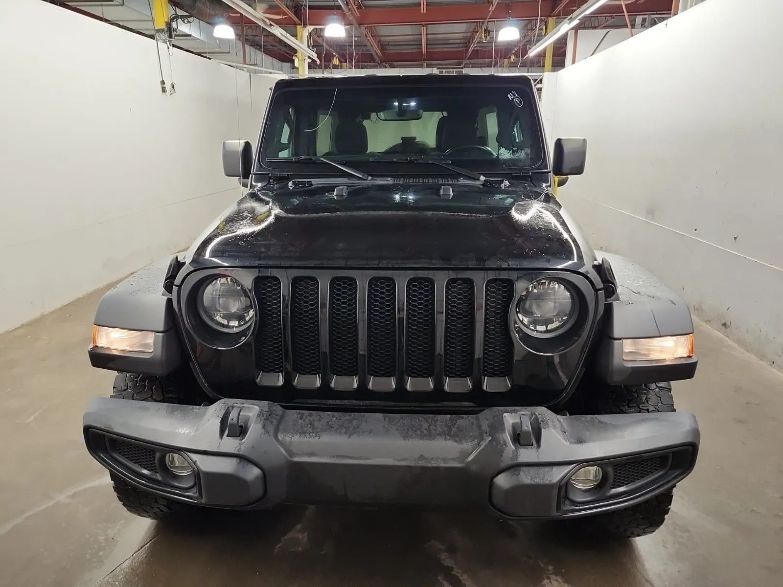 Full Front Photo