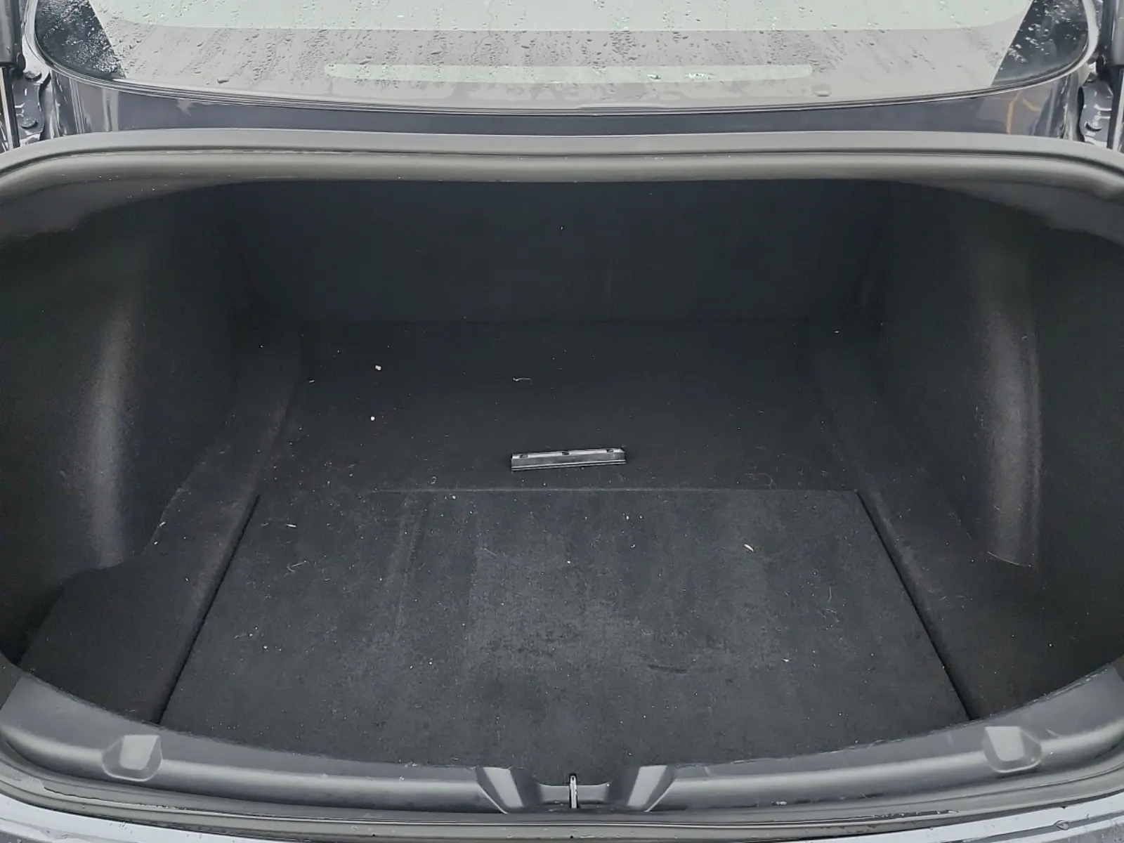 Cargo Area Photo