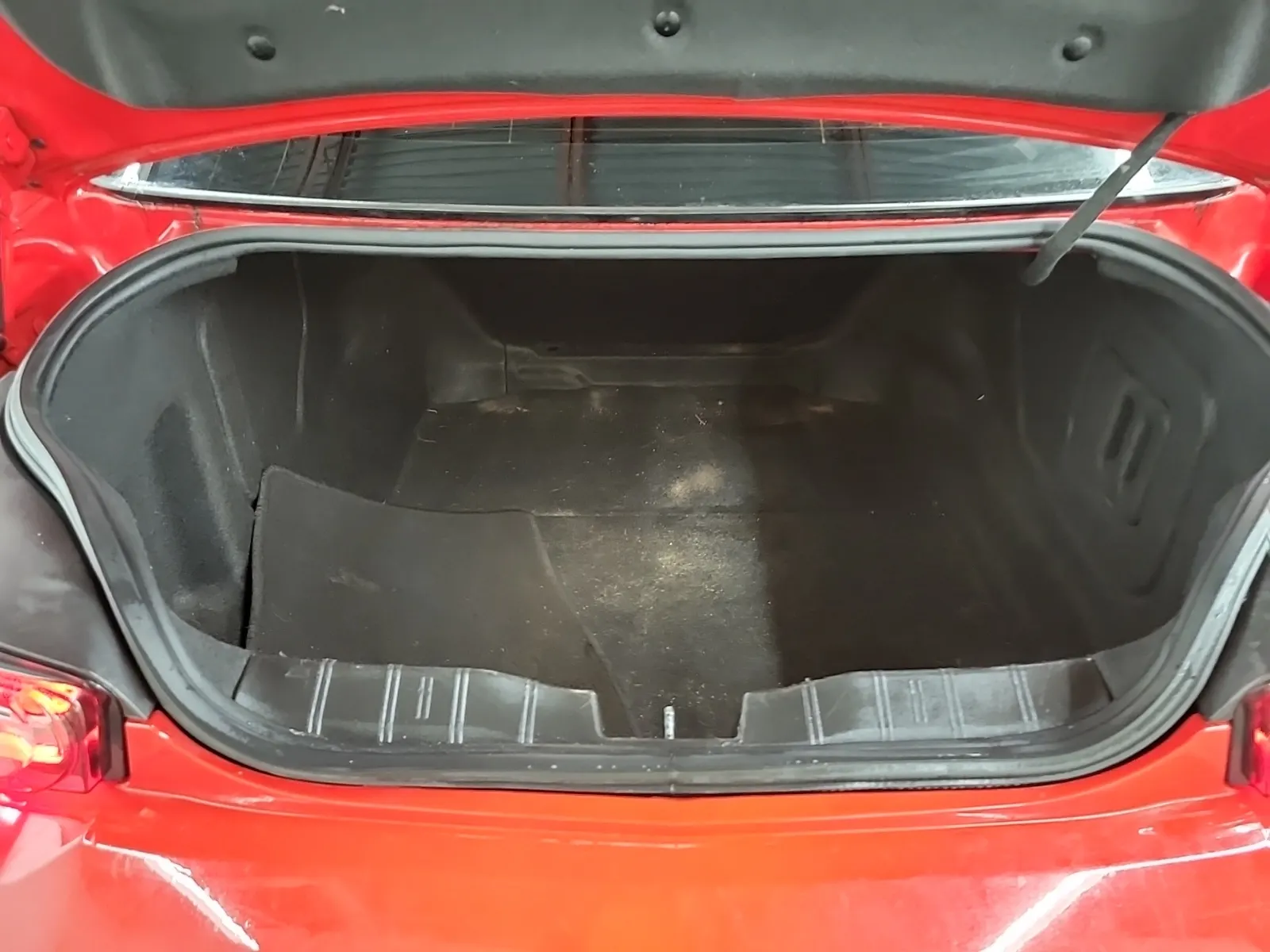 Cargo Area Photo
