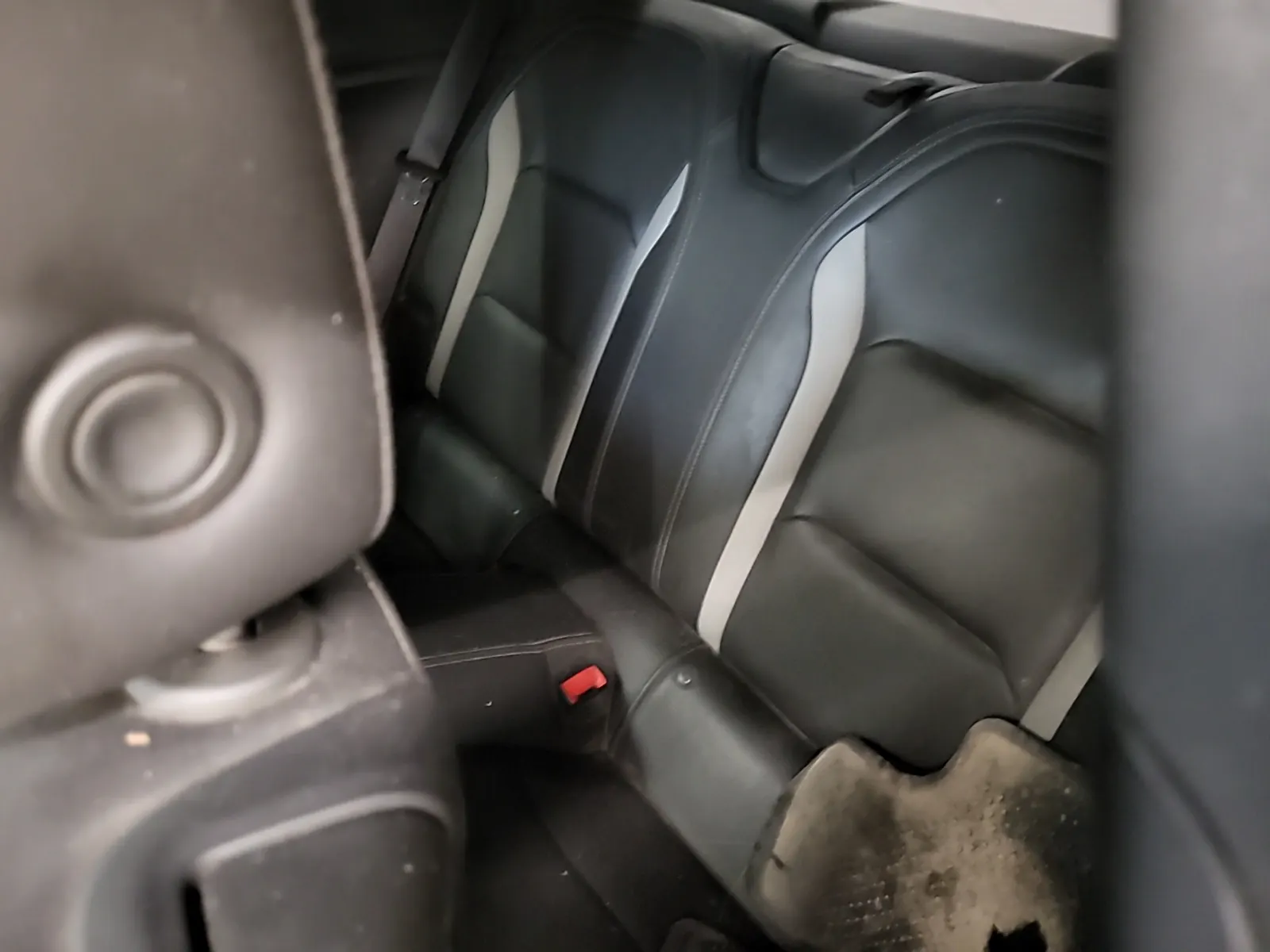 Rear Interior Photo