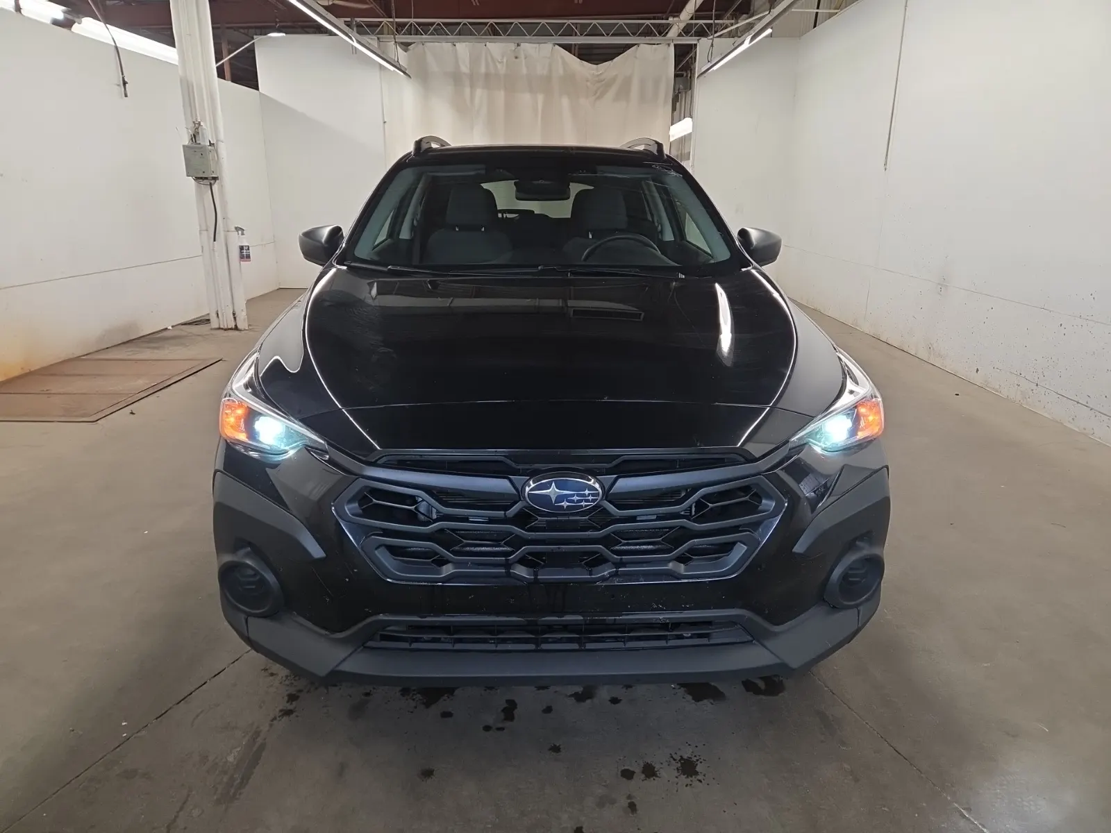 Full Front Photo