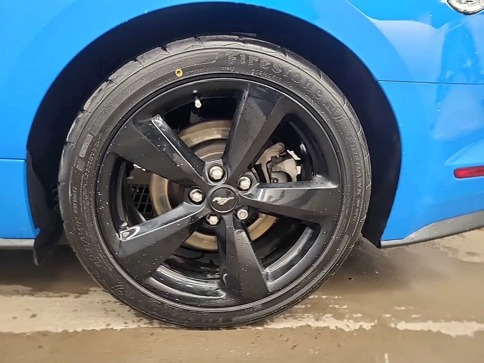 Left Rear Wheel/Tire Photo