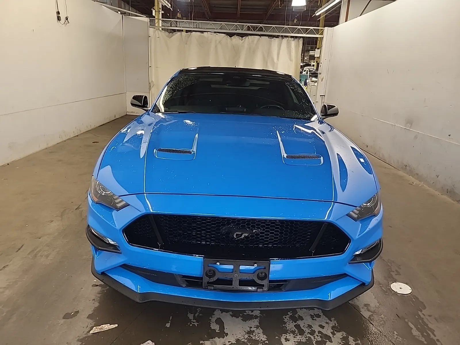 Full Front Photo