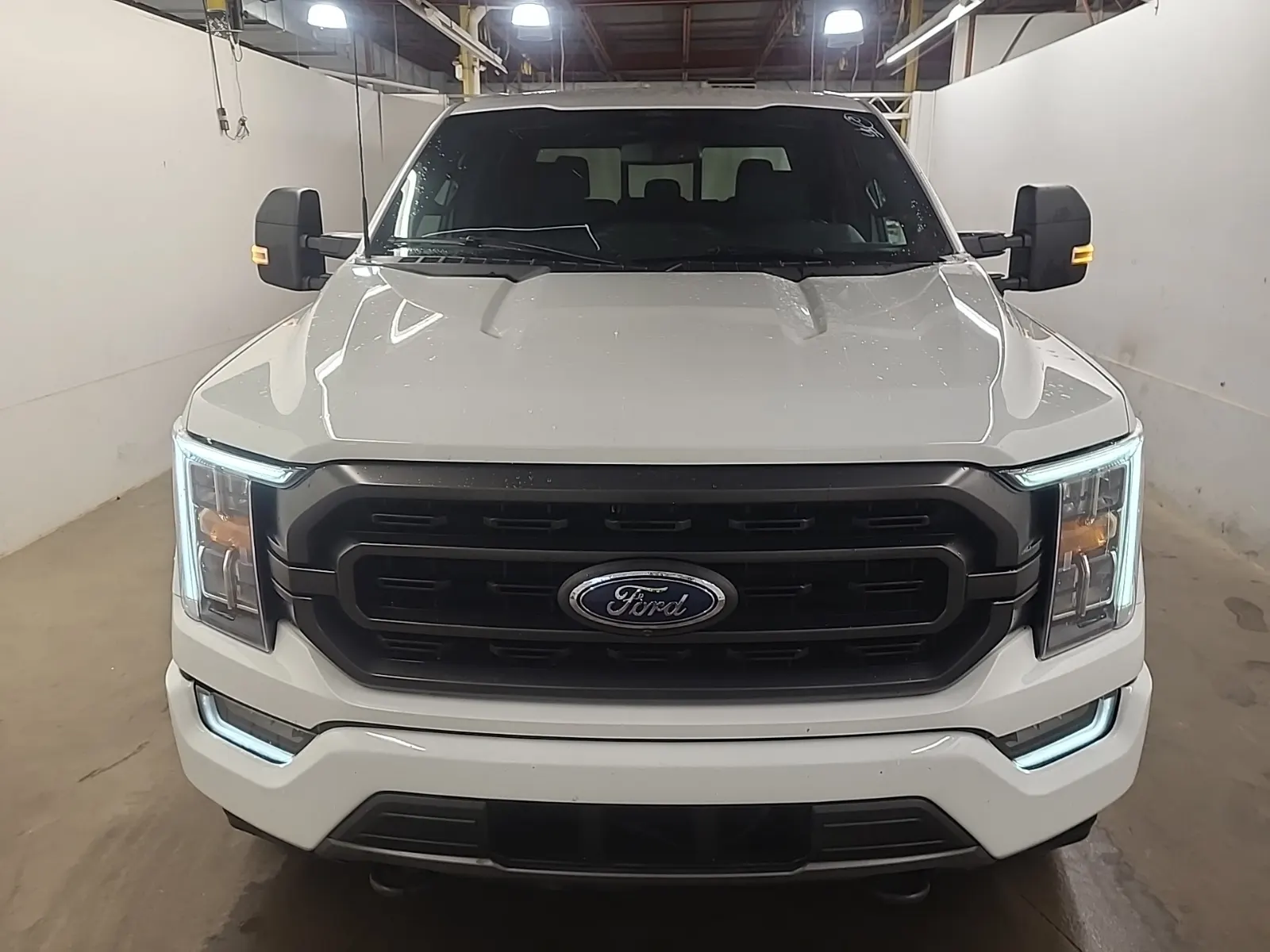 Full Front Photo