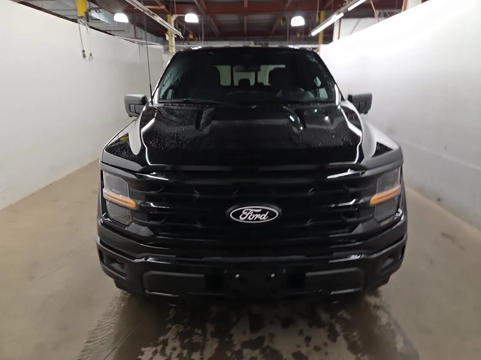 Full Front Photo