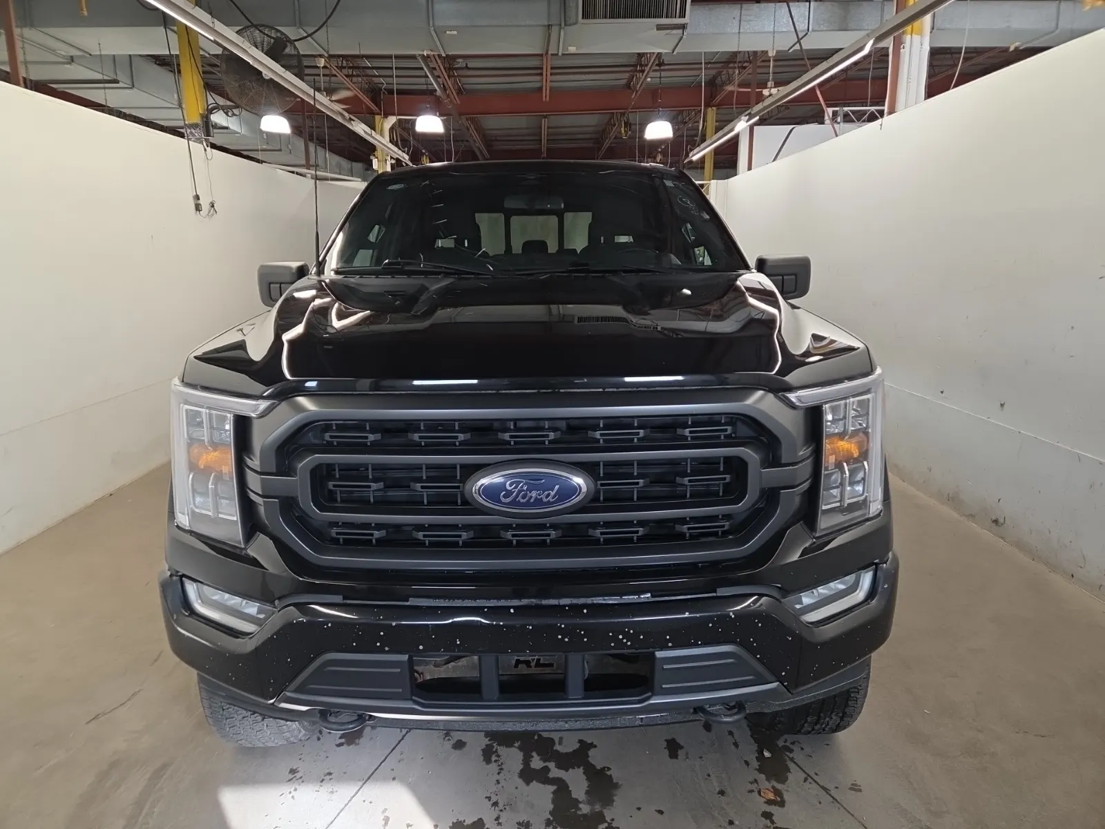Full Front Photo