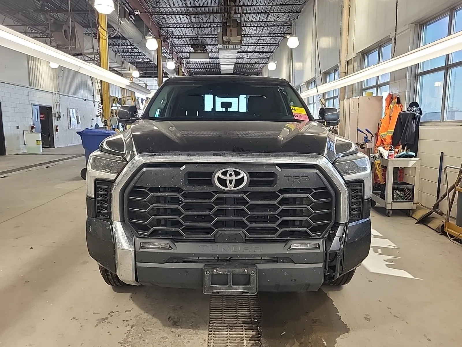 Full Front Photo
