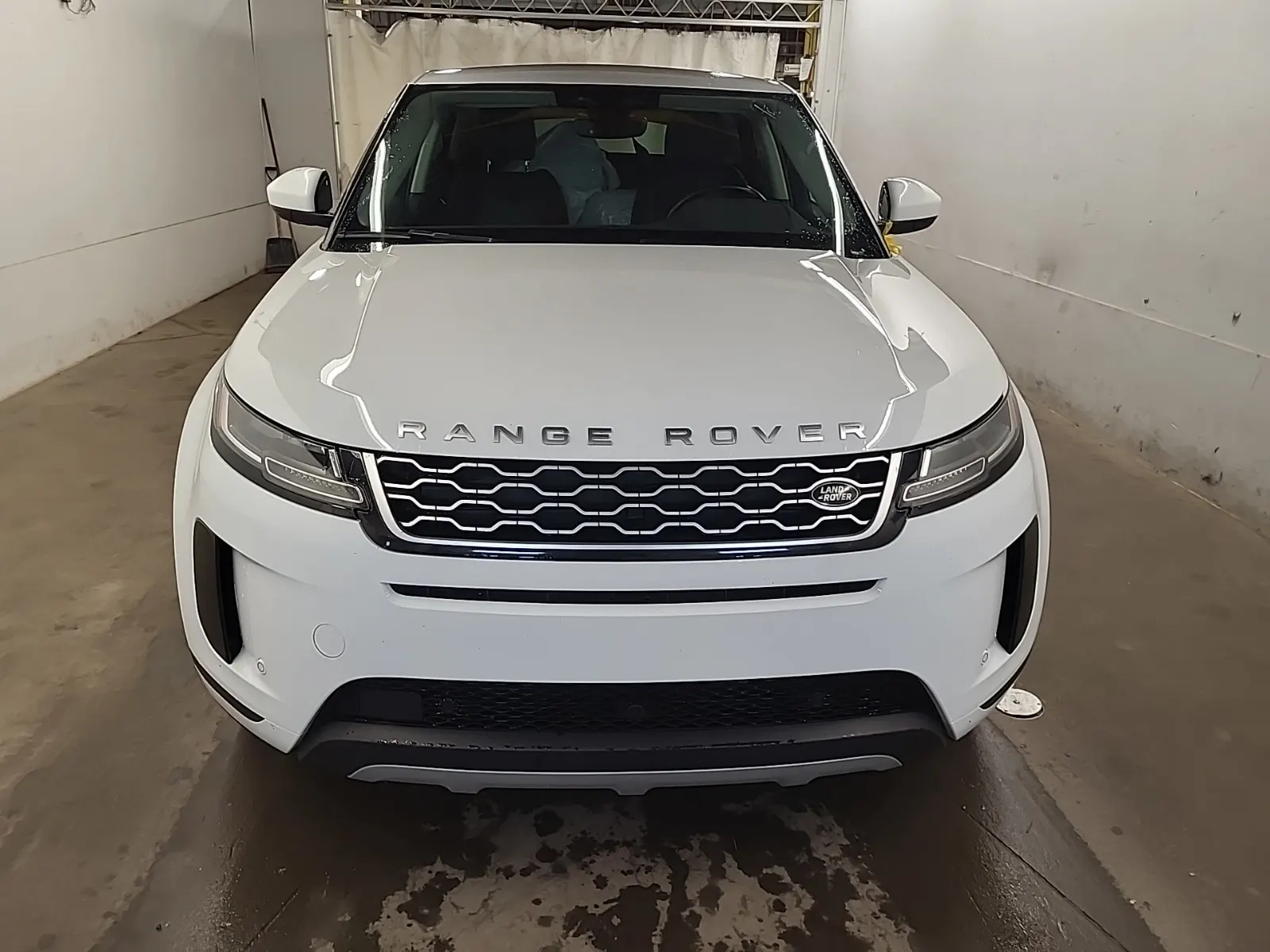 Full Front Photo