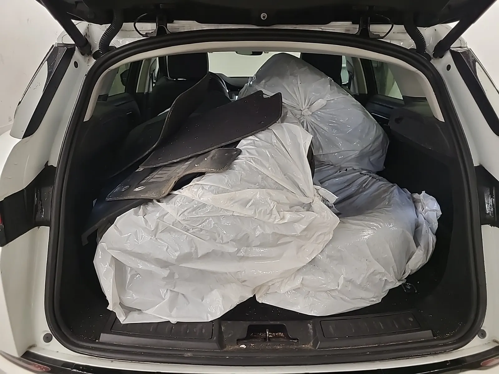 Cargo Area Photo