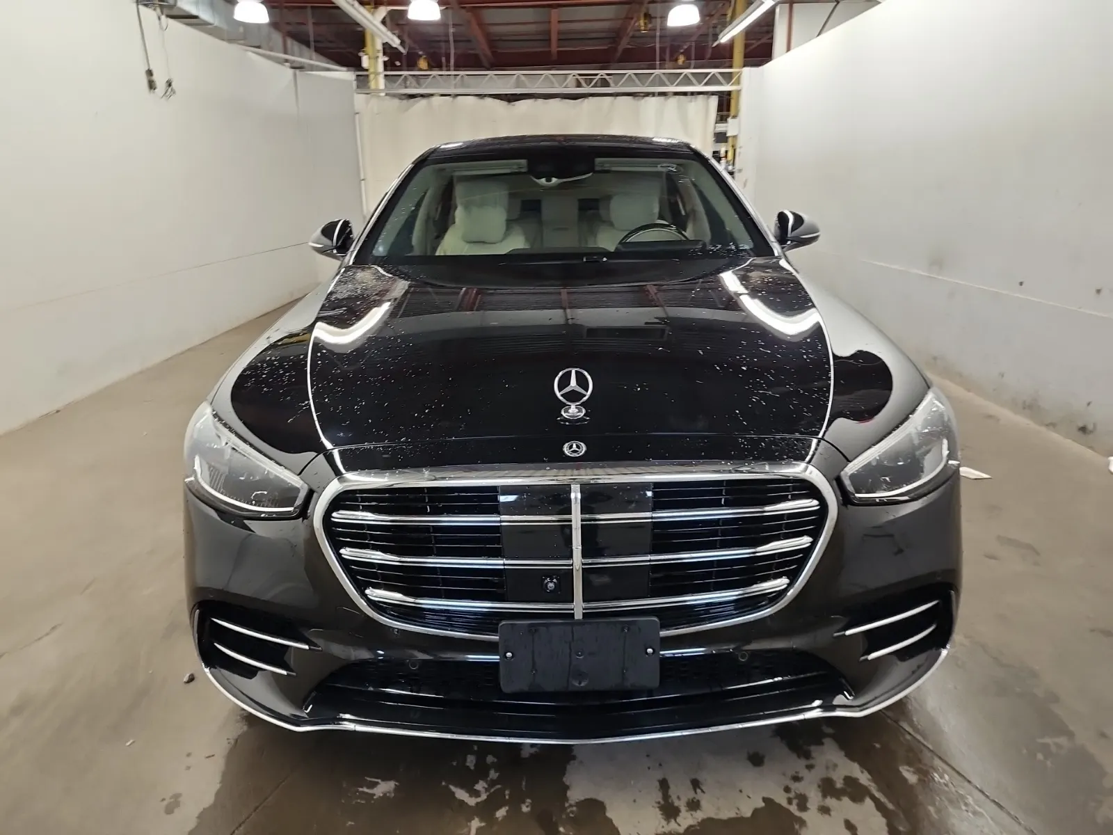 Full Front Photo