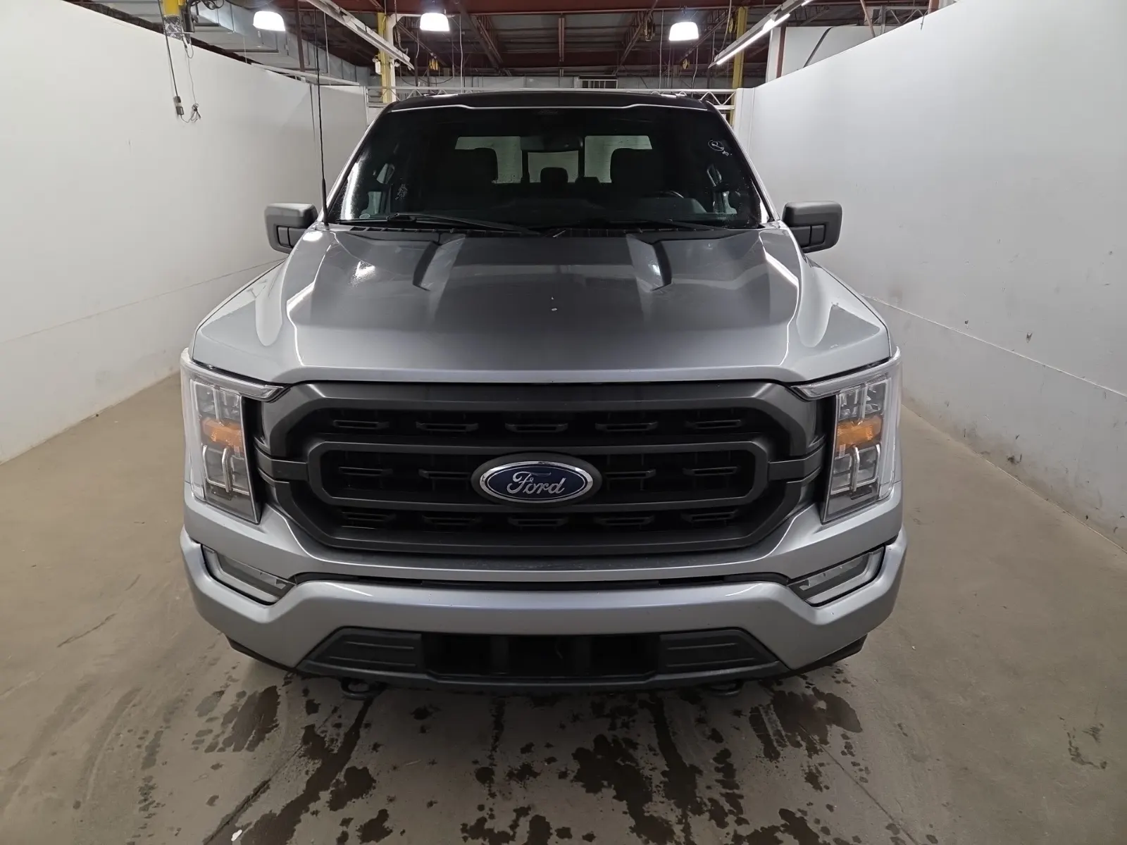 Full Front Photo