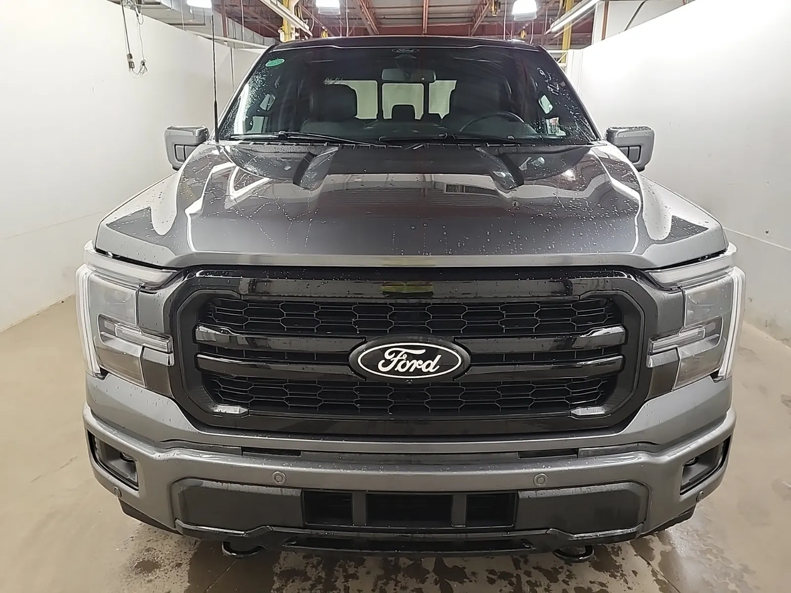 Full Front Photo