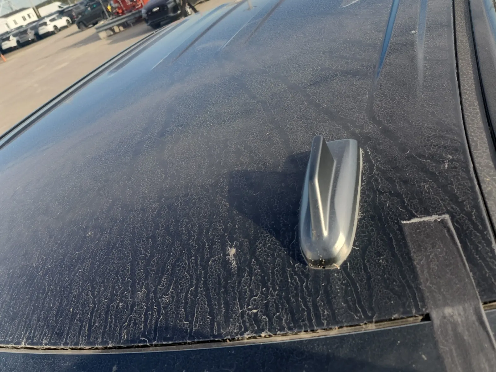 Exterior Roof Photo