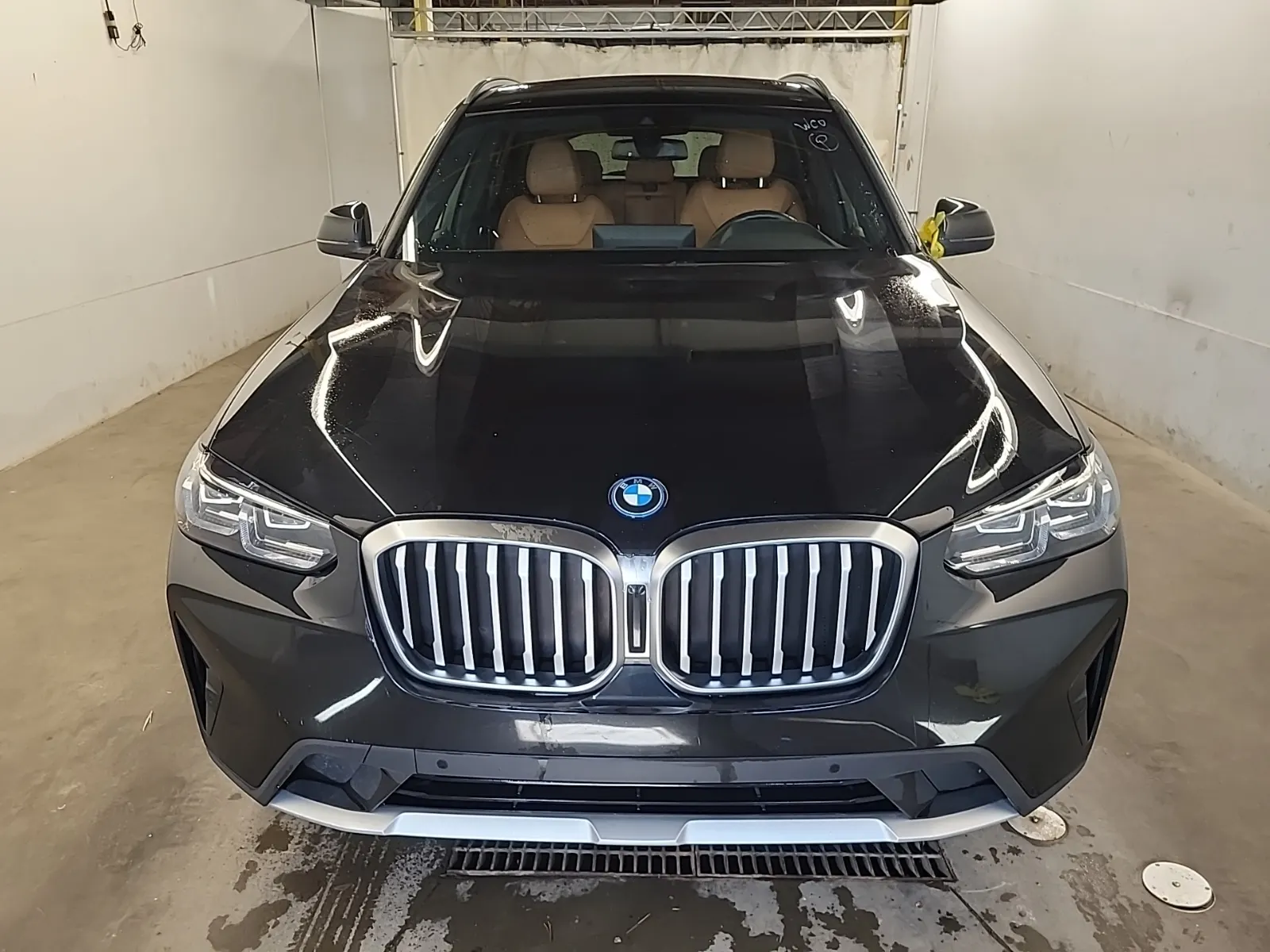 Full Front Photo