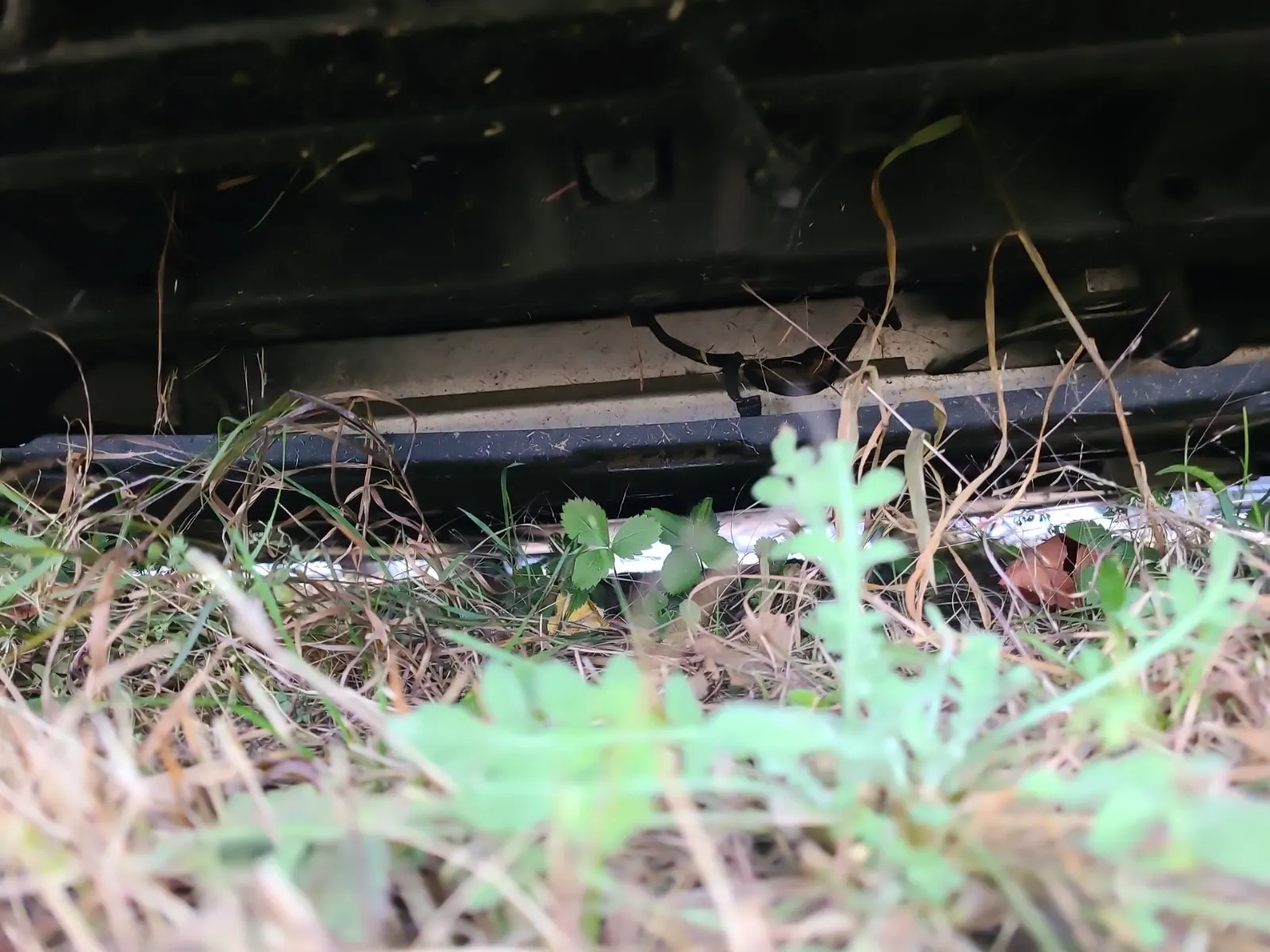 Undercarriage - Front Photo