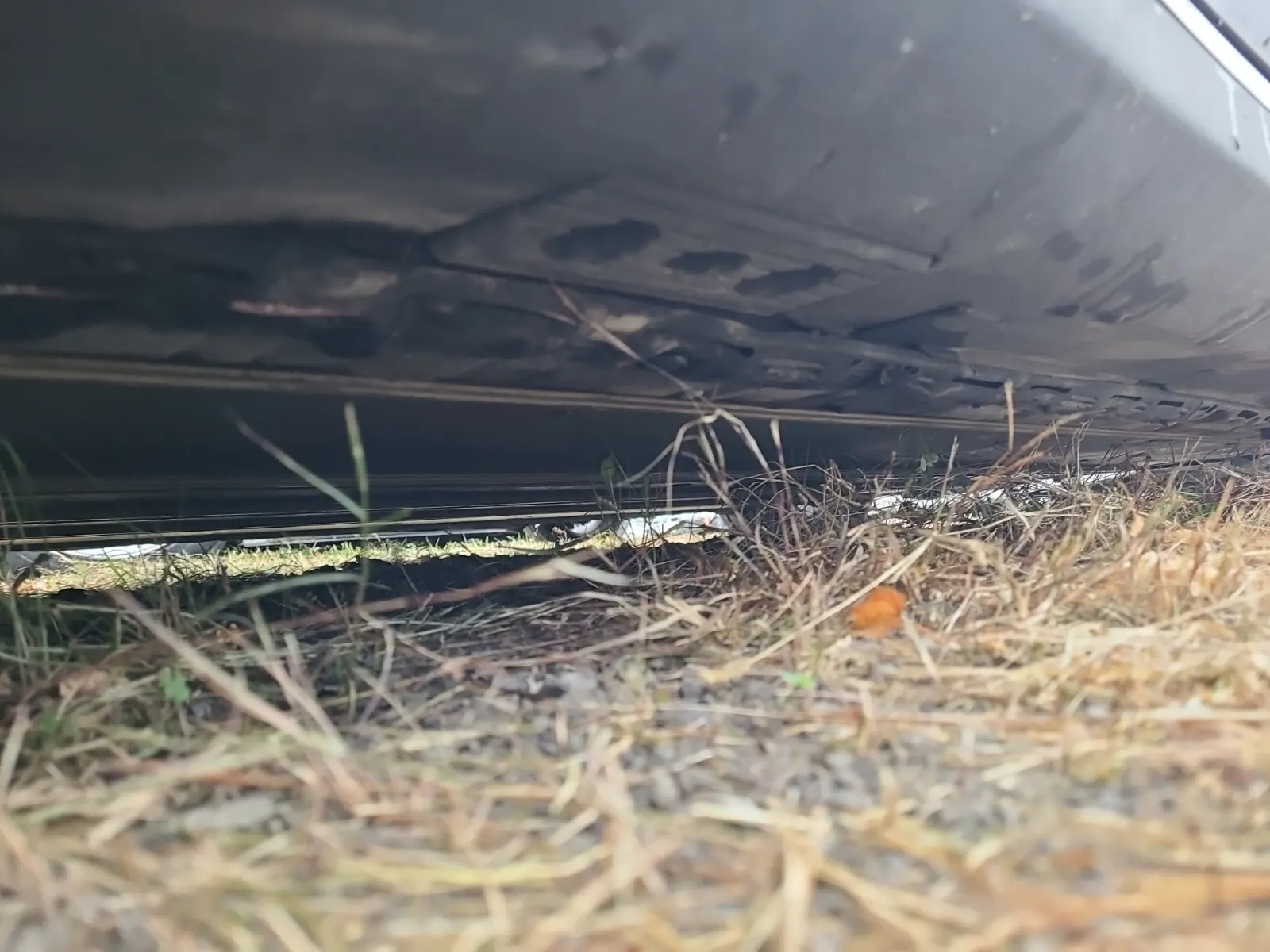 Undercarriage - Driver Photo