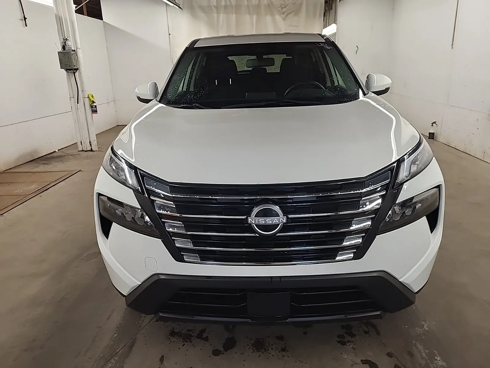 Full Front Photo