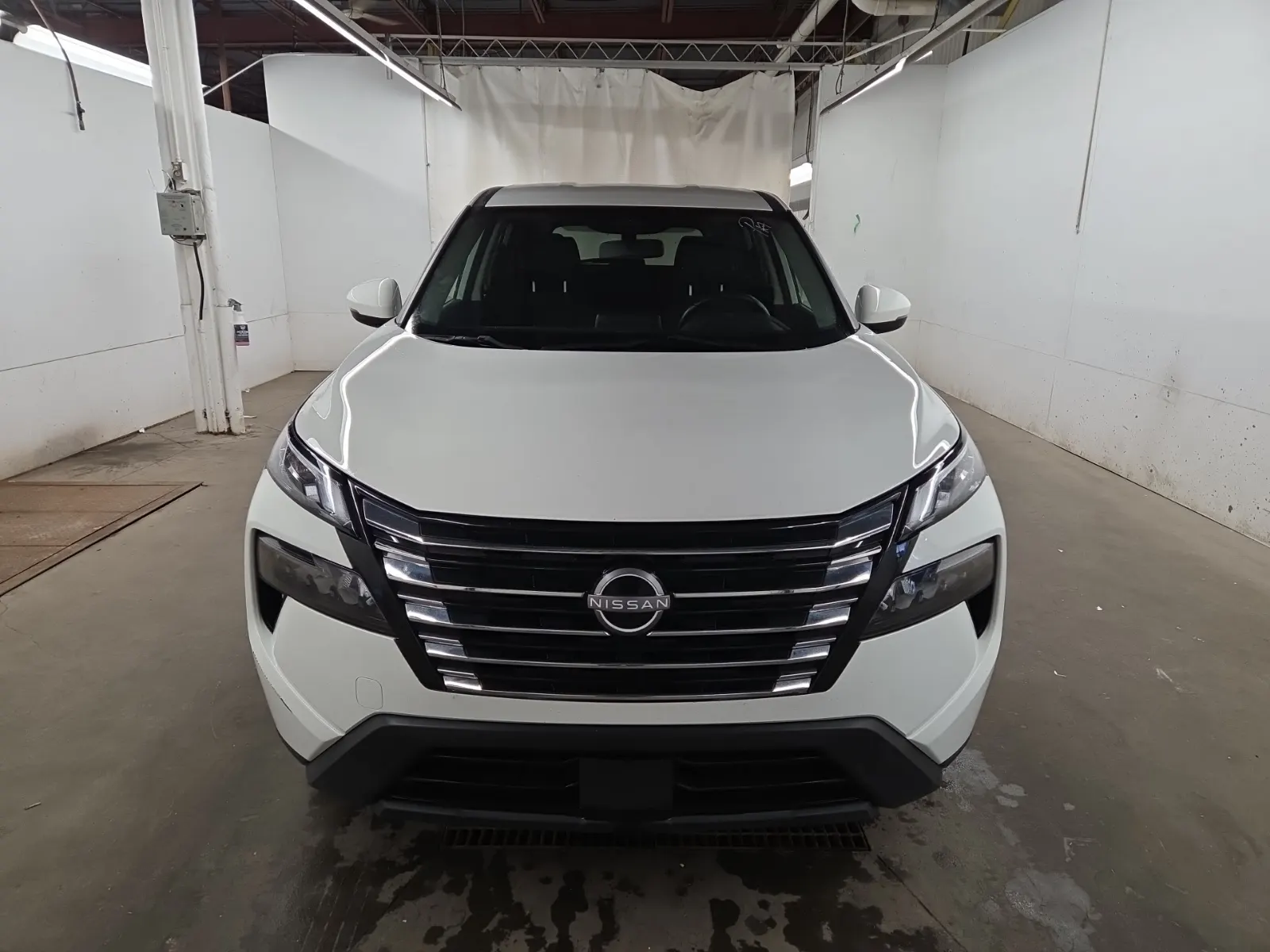 Full Front Photo